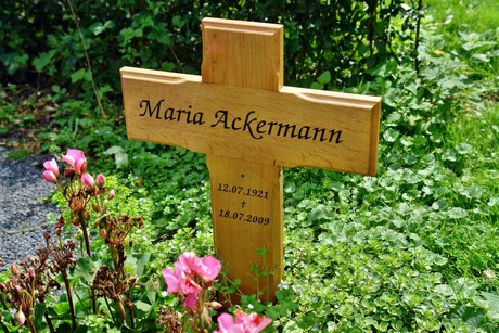 friedhof-niehl