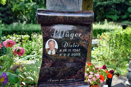 friedhof-niehl