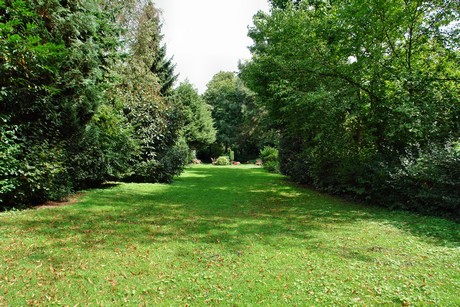 friedhof-niehl