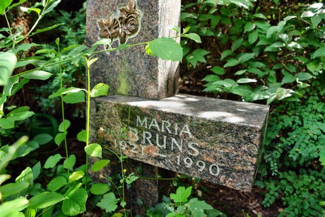 friedhof-niehl