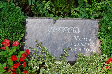 friedhof-niehl