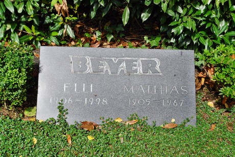 friedhof-niehl
