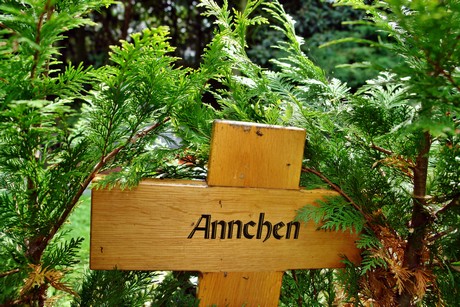 friedhof-niehl
