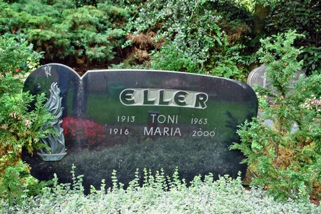 friedhof-niehl