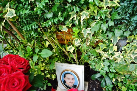friedhof-niehl