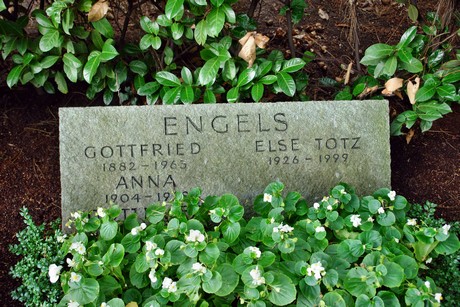 friedhof-niehl