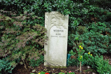 friedhof-niehl