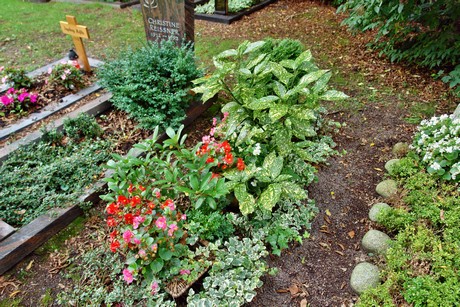 friedhof-niehl