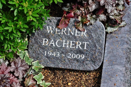 friedhof-niehl