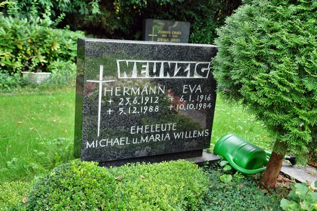 friedhof-niehl