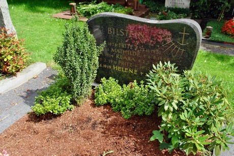friedhof-niehl