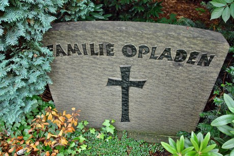 friedhof-niehl