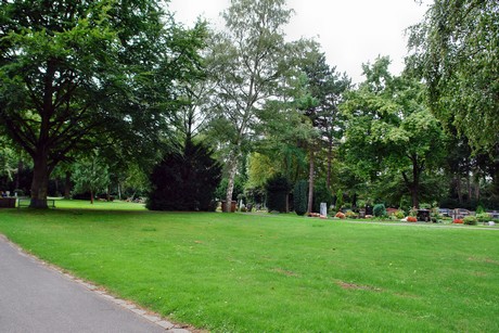 friedhof-niehl