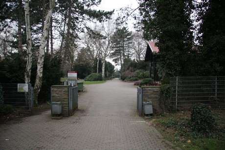 friedhof-niehl