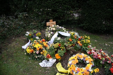 friedhof-niehl
