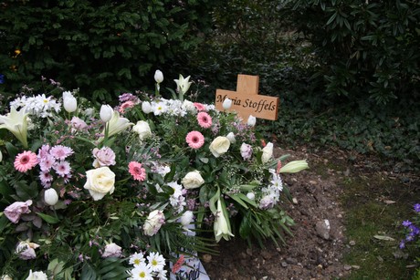 friedhof-niehl