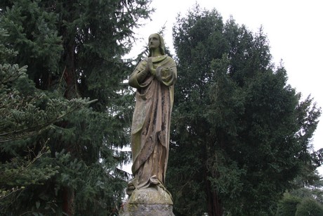 friedhof-niehl