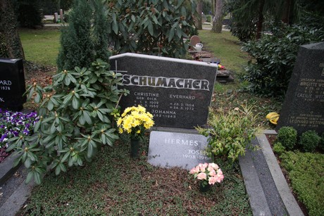 friedhof-niehl