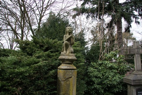 friedhof-niehl