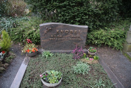 friedhof-niehl