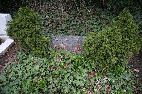friedhof-niehl