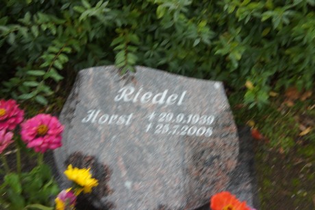 friedhof