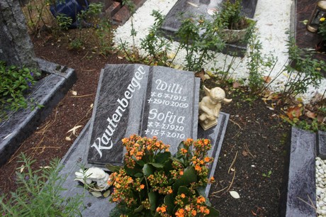 friedhof
