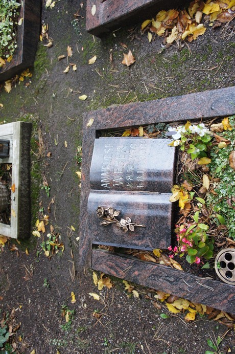 friedhof