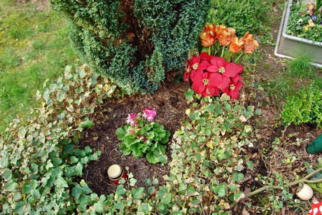 ostfriedhof
