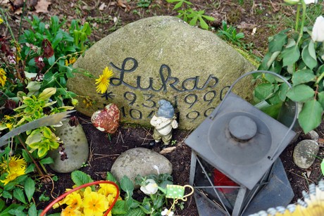 ostfriedhof