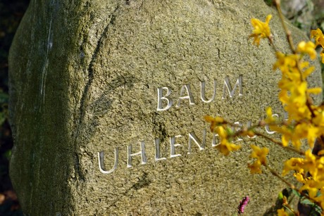 ostfriedhof