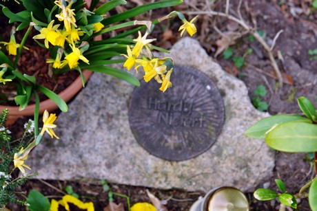 ostfriedhof