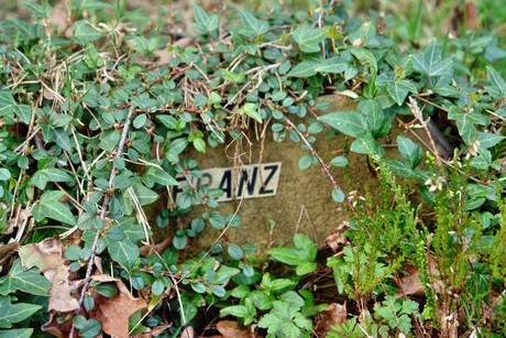 ostfriedhof
