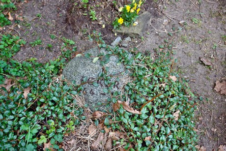 ostfriedhof