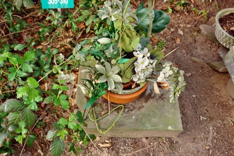 ostfriedhof