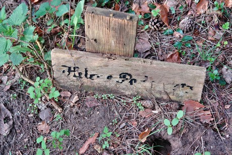 ostfriedhof