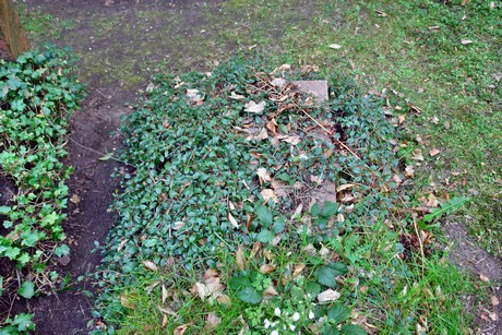 ostfriedhof