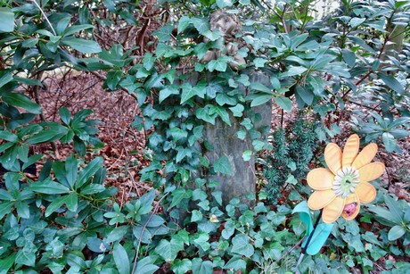 ostfriedhof