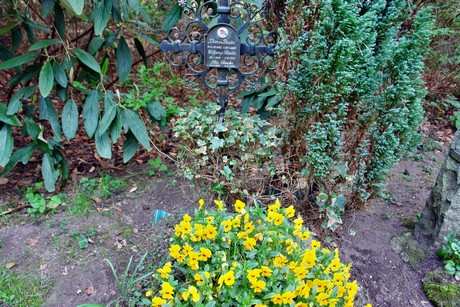 ostfriedhof