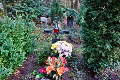 ostfriedhof