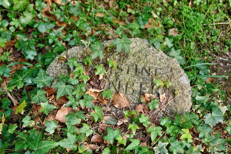 ostfriedhof