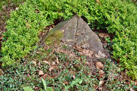ostfriedhof