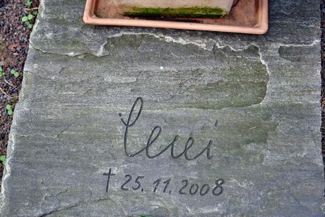 ostfriedhof