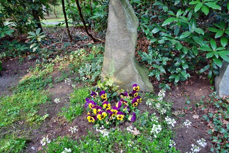 ostfriedhof