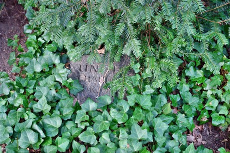 ostfriedhof