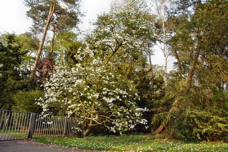 ostfriedhof
