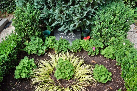 friedhof