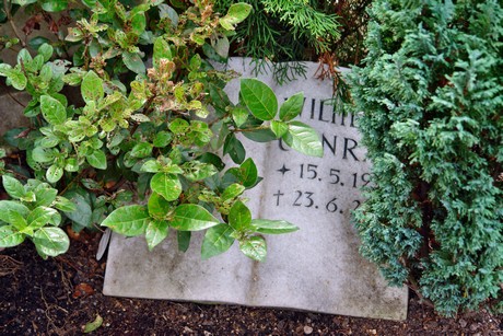 friedhof