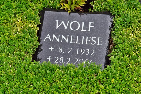 friedhof