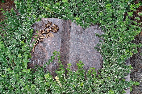friedhof
